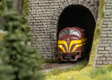 Preview: 39631 Diesellok 1600 CFL