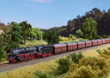 Preview: T16631 Dampflok BR 41 DB